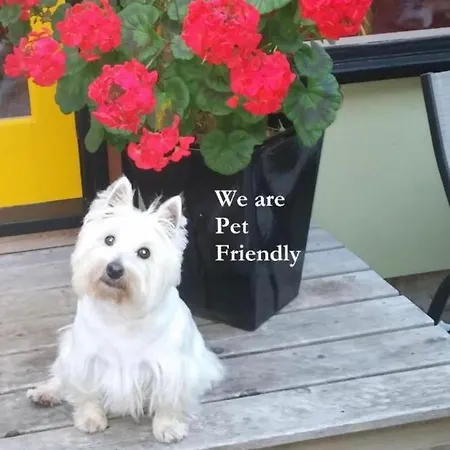 Appartement Space In Centrum