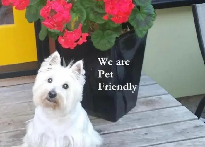 アパート Space In Centrum