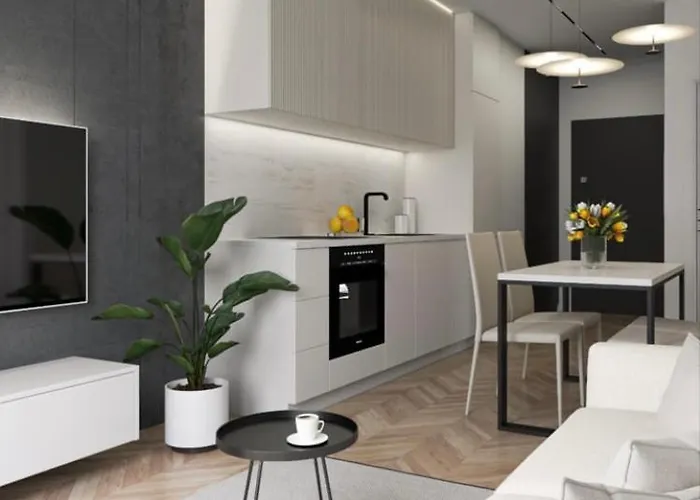 アパート Space In Centrum シュチェチン